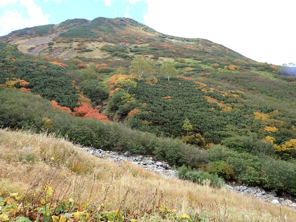 P9204143_mid.jpg