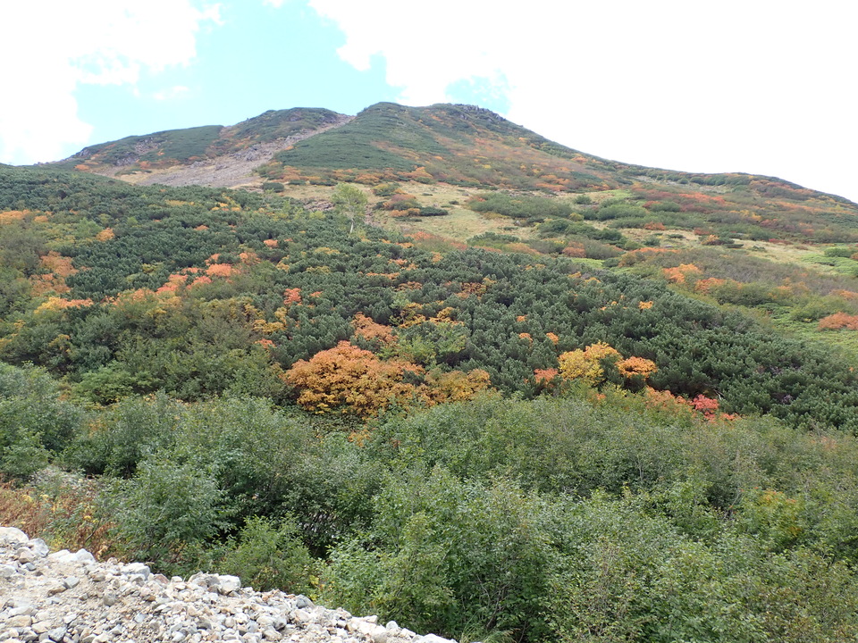 P9204150_mid.jpg