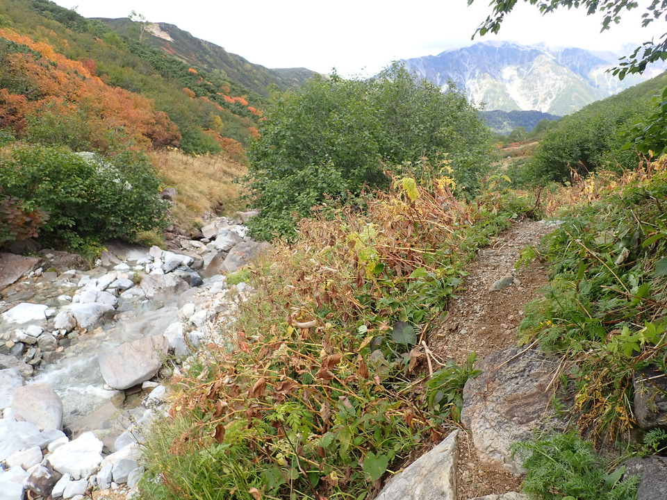 P9204153_mid.jpg
