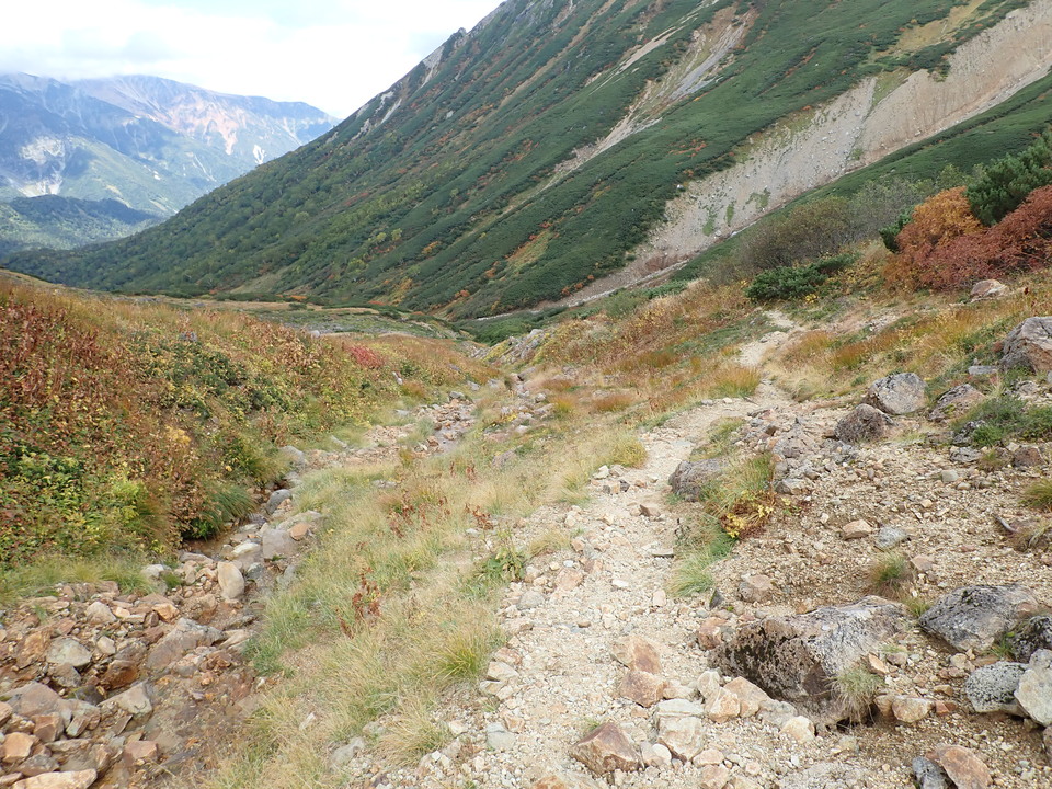 P9204165_mid.jpg