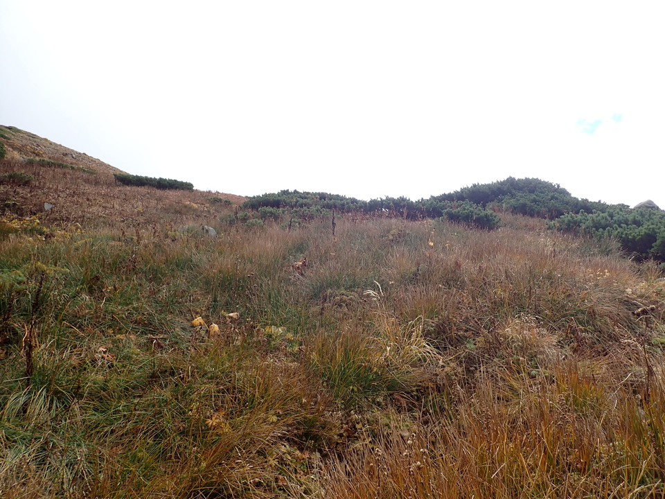 P9204171_mid.jpg