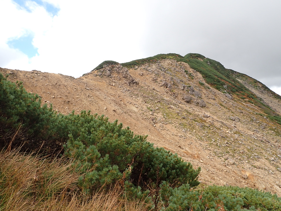 P9204173_mid.jpg