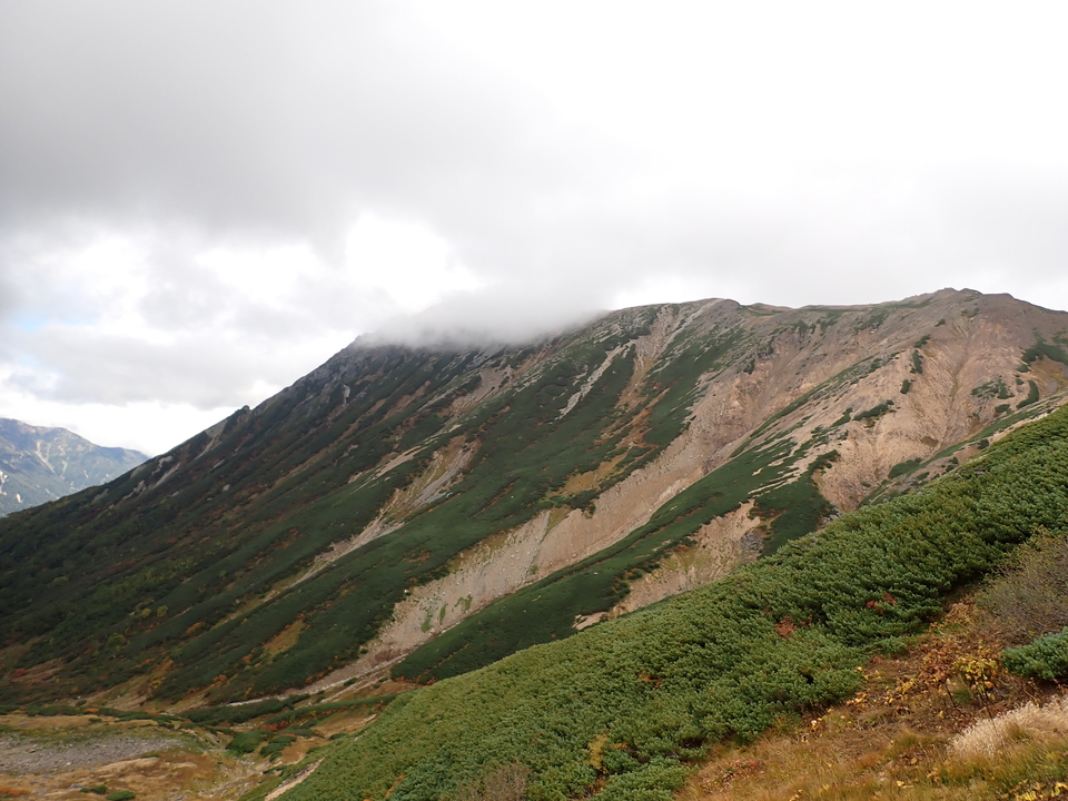 P9204177_mid.jpg