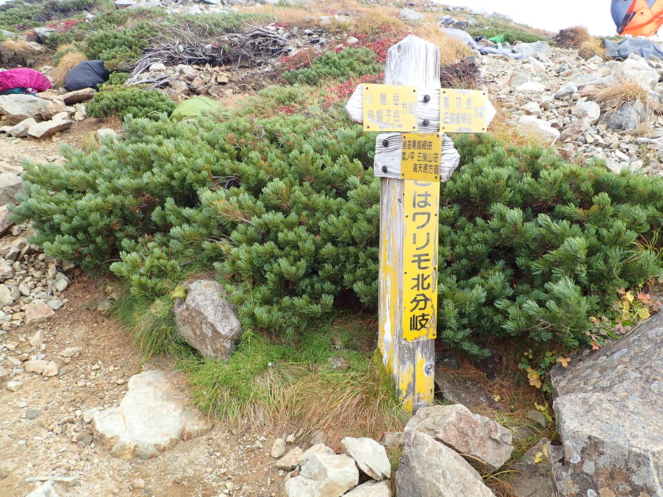 P9204186_mid.jpg
