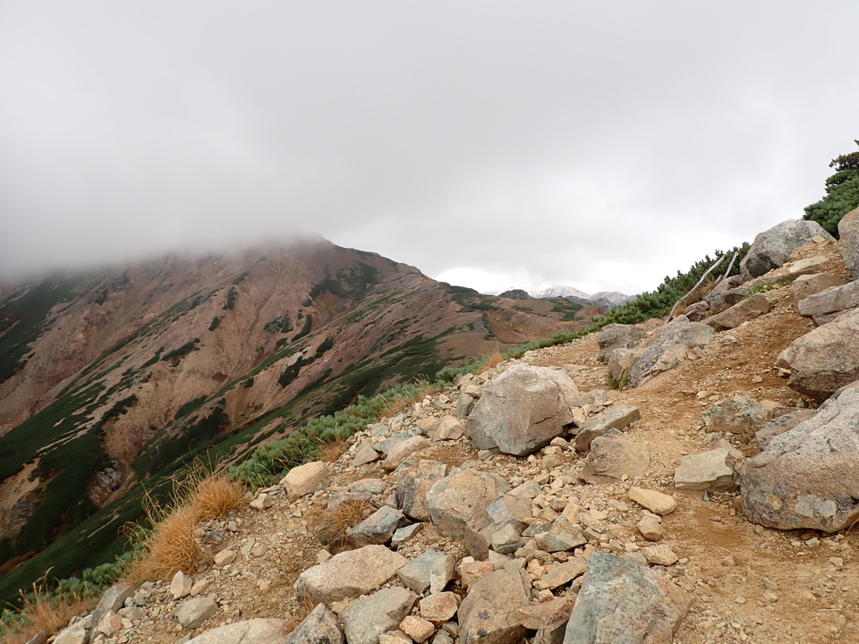 P9204188_mid.jpg