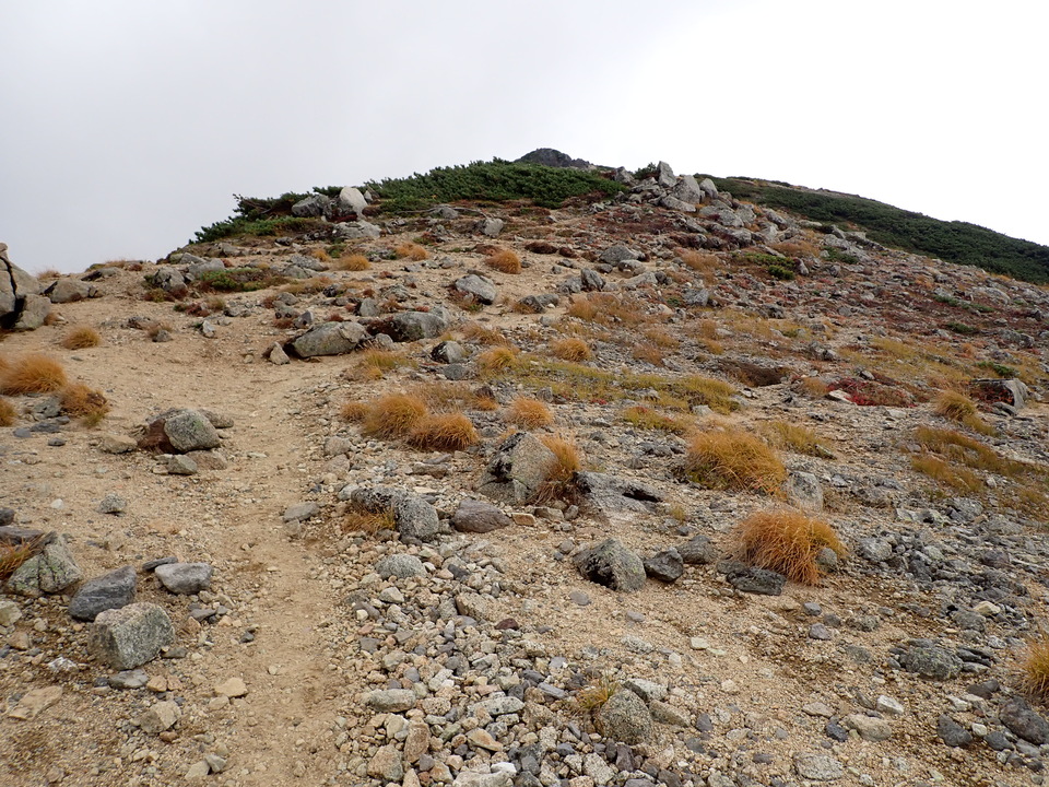 P9204194_mid.jpg