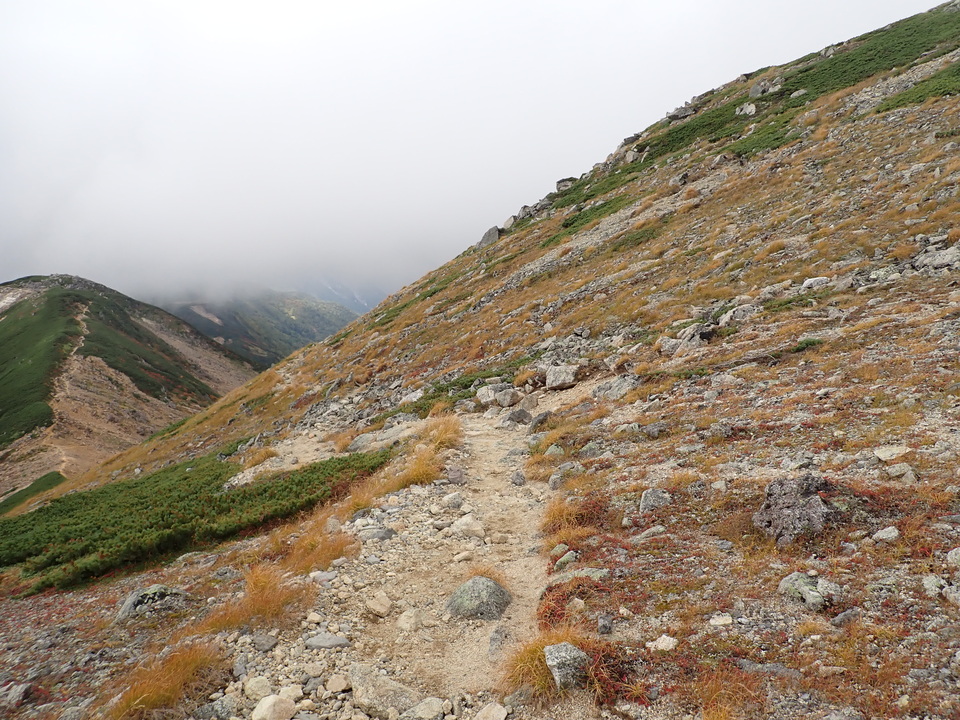 P9204195_mid.jpg