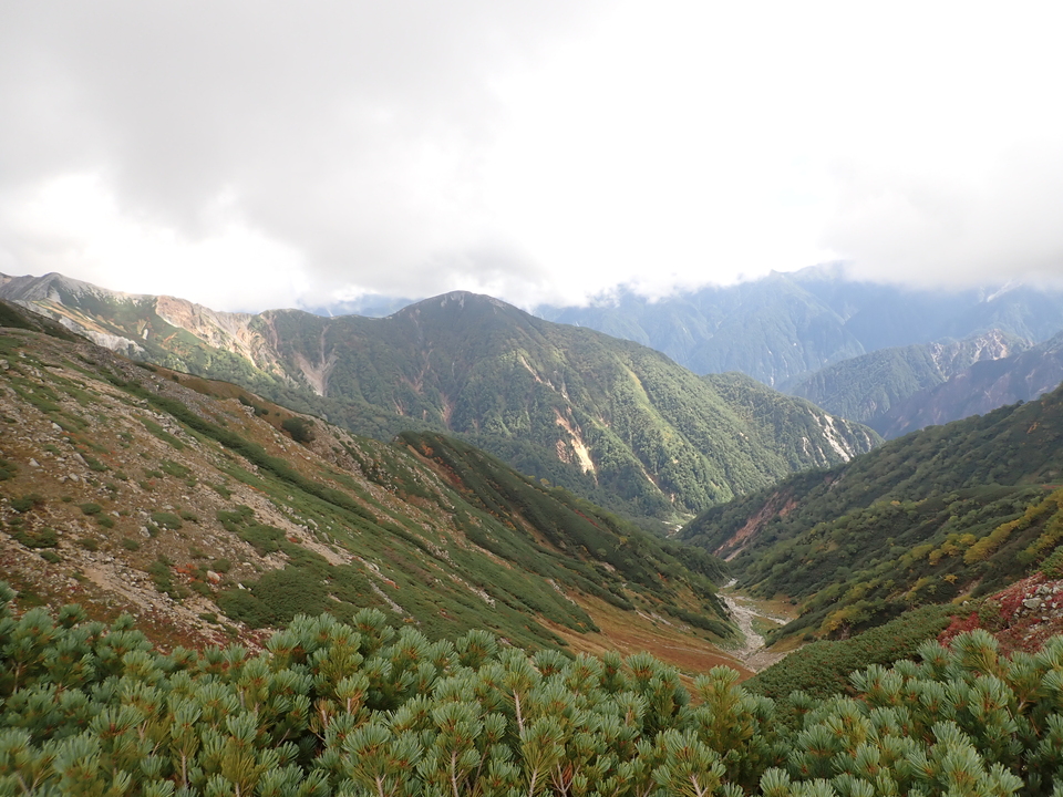 P9204197_mid.jpg
