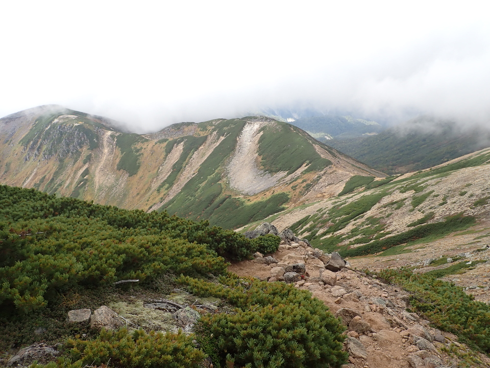 P9204205_mid.jpg