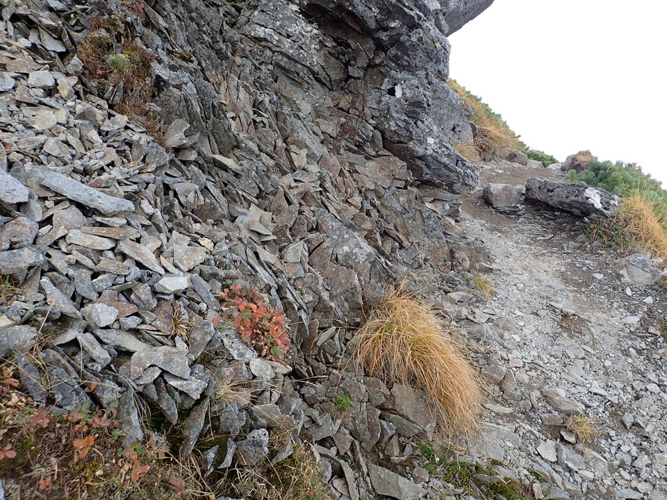 P9204214_mid.jpg
