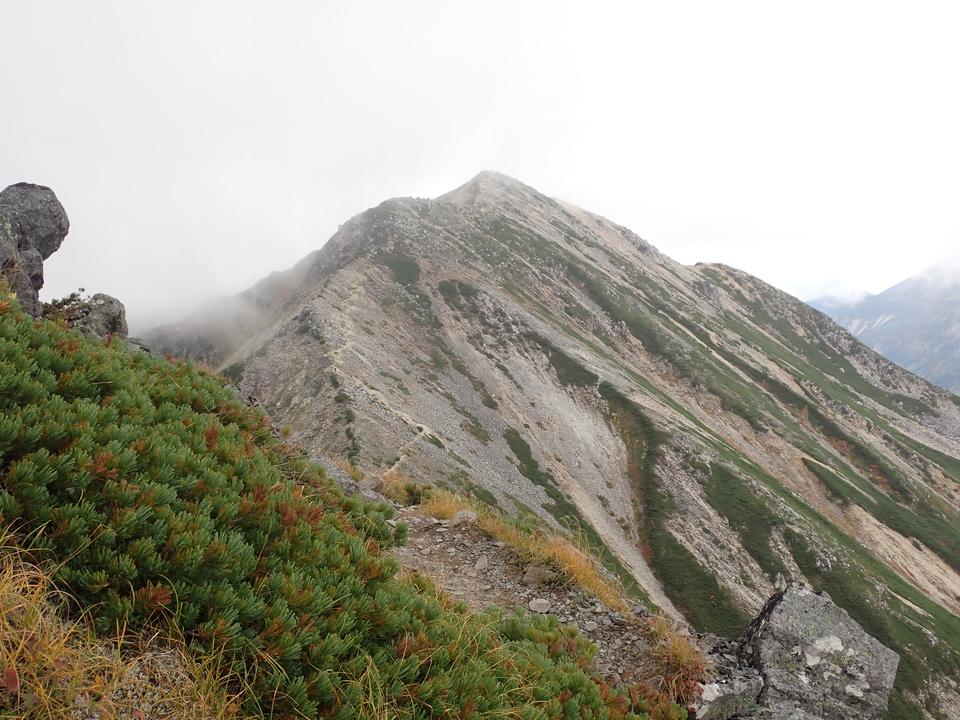 P9204215_mid.jpg