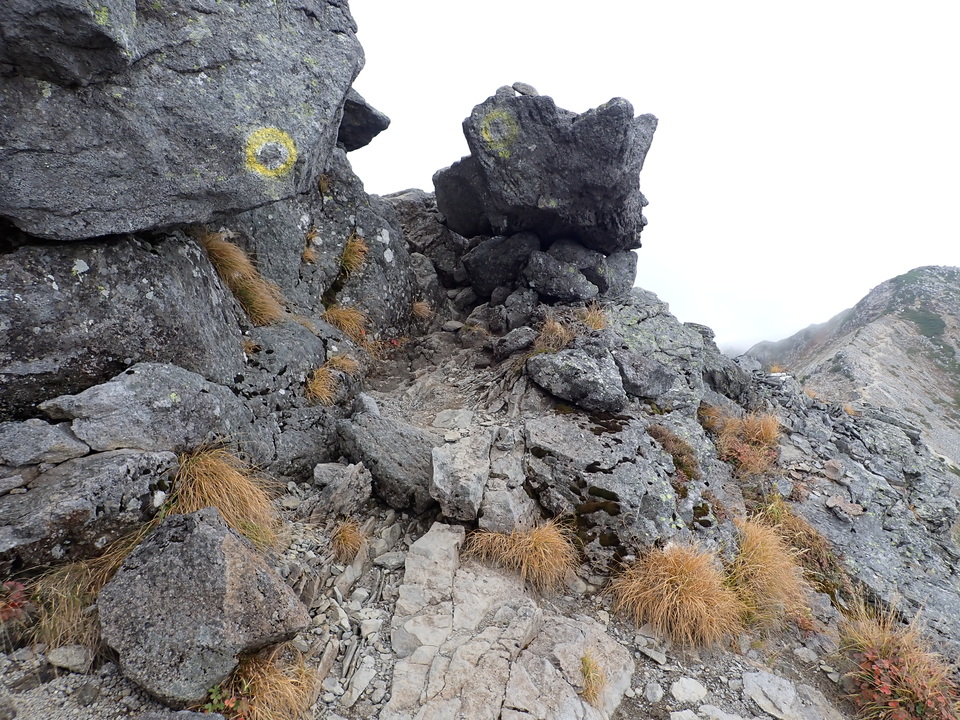 P9204221_mid.jpg