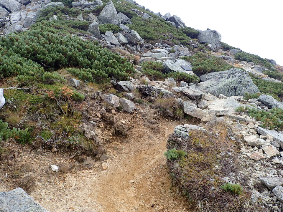 P9204245_mid.jpg