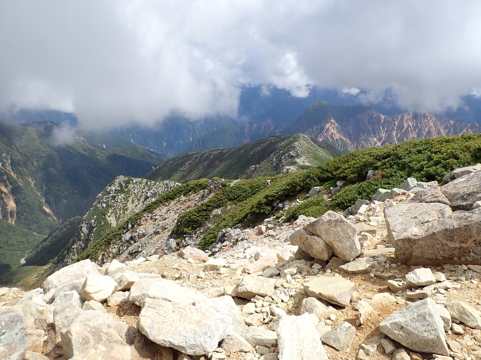 P9204264_mid.jpg