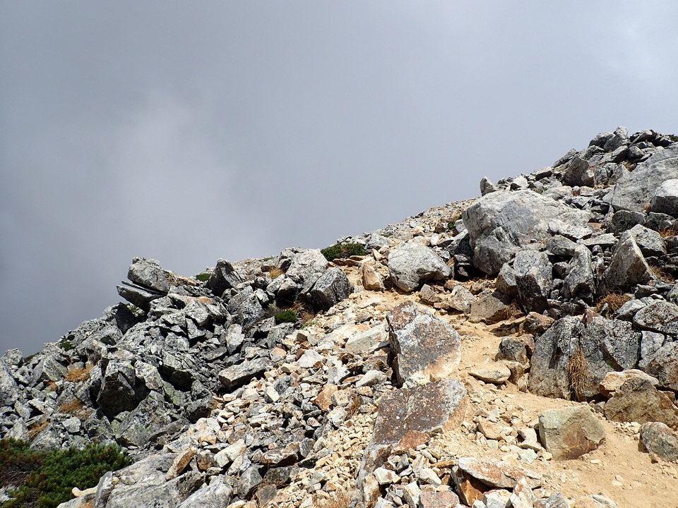 P9204279_mid.jpg