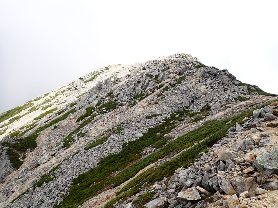 P9204285_mid.jpg