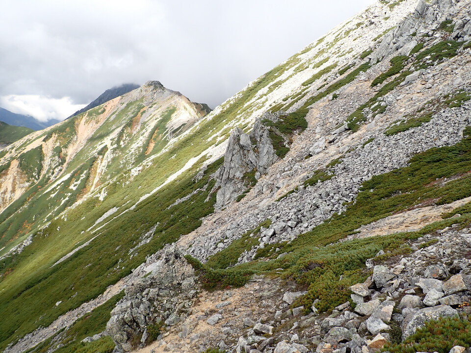 P9204286_mid.jpg