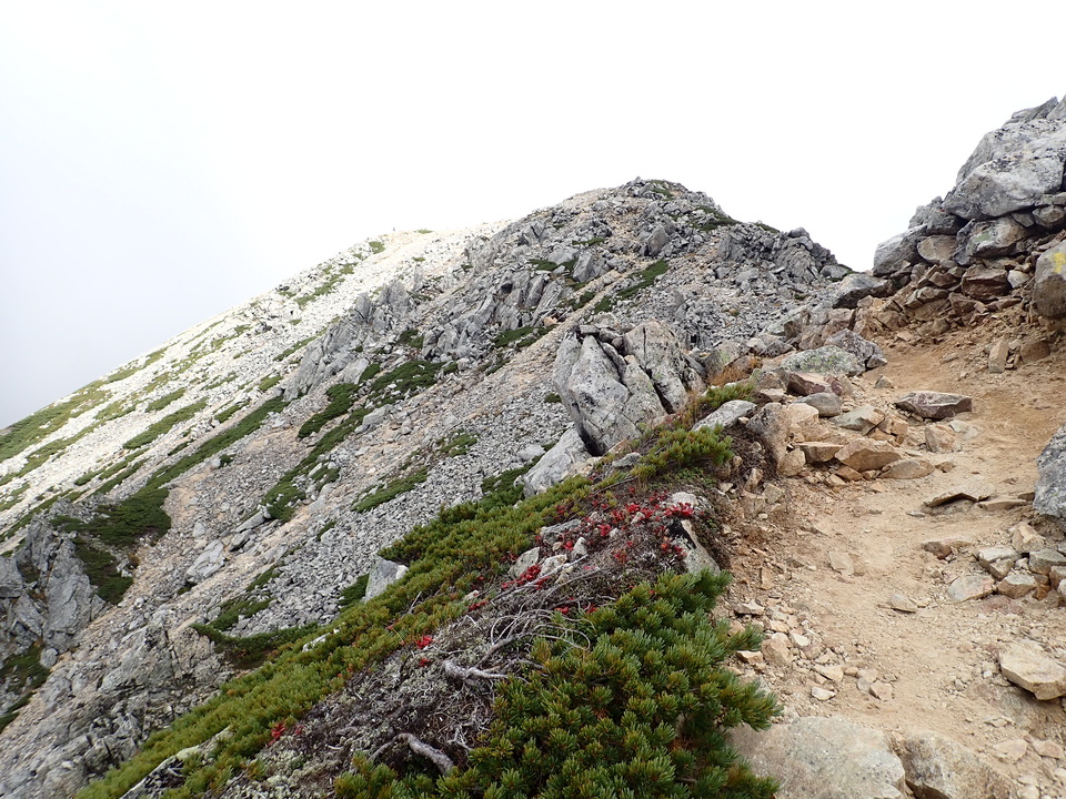 P9204288_mid.jpg