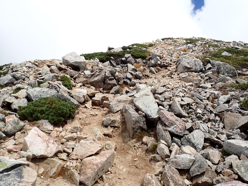 P9204290_mid.jpg