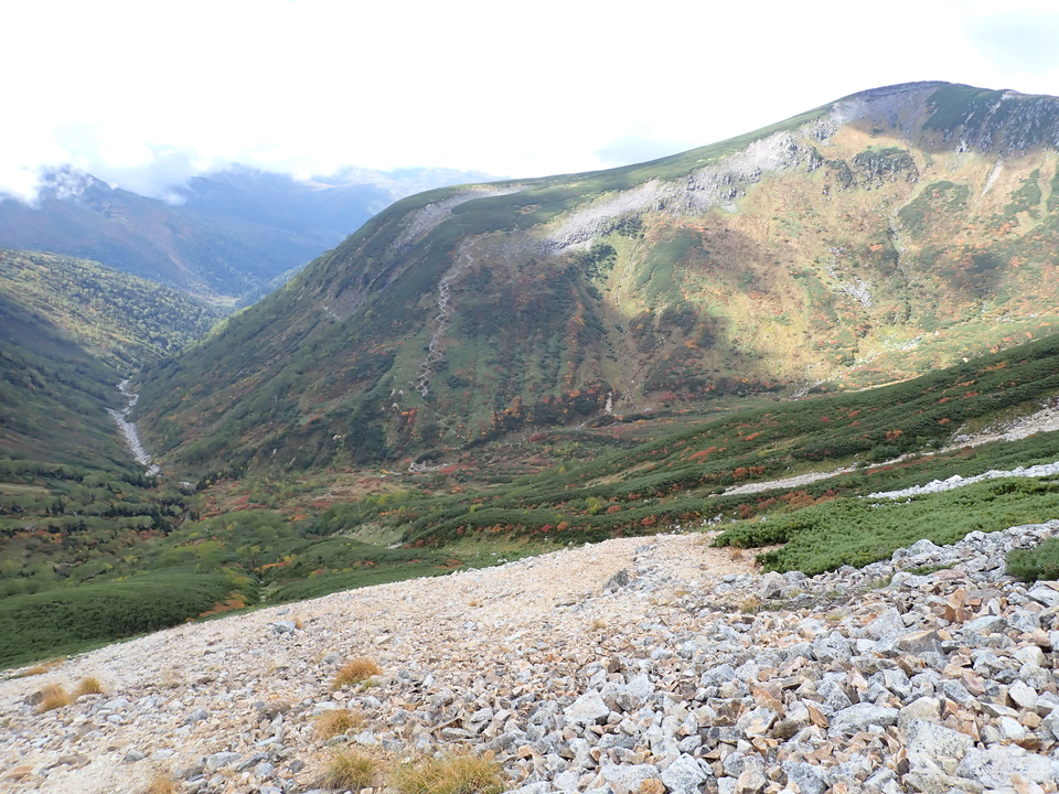 P9204296_mid.jpg