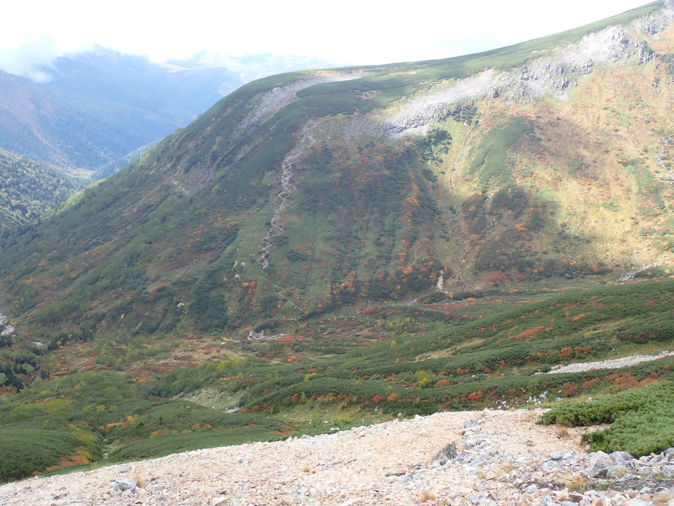 P9204297_mid.jpg
