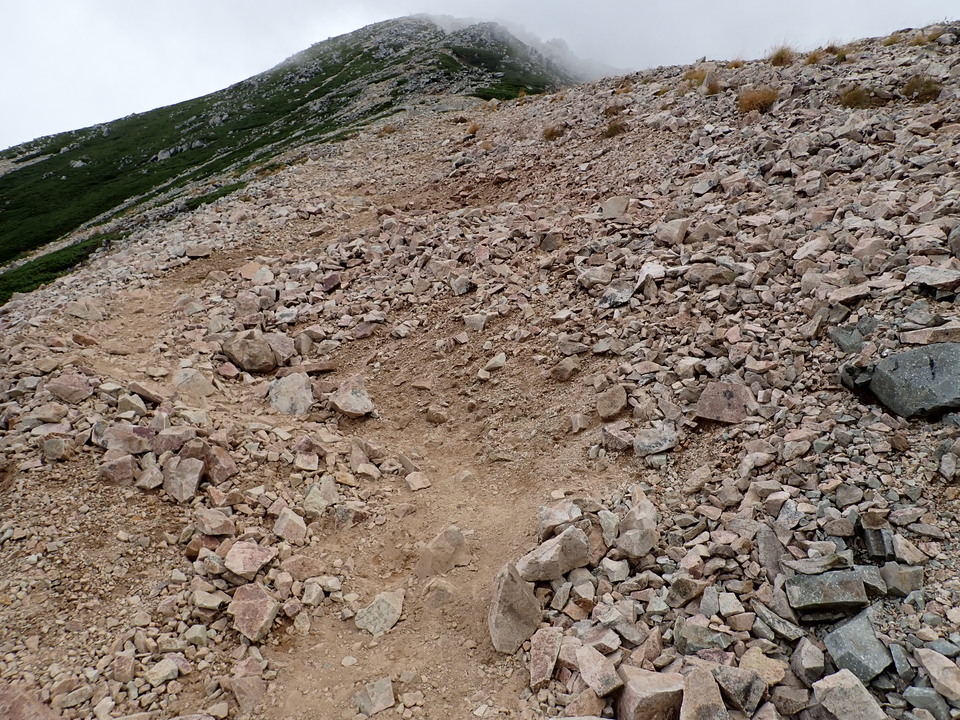 P9204301_mid.jpg