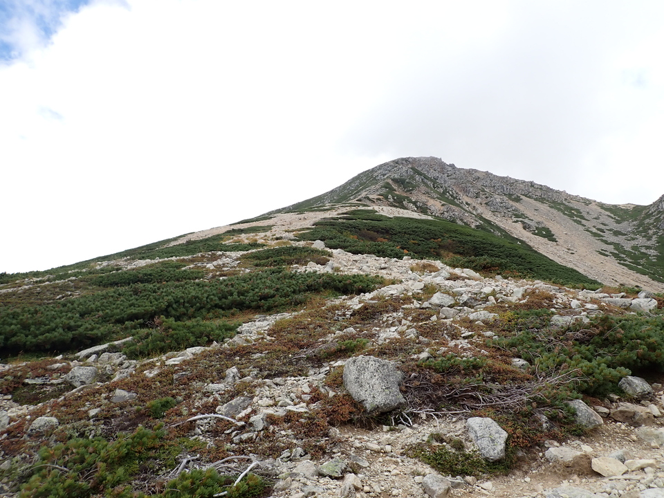 P9204304_mid.jpg