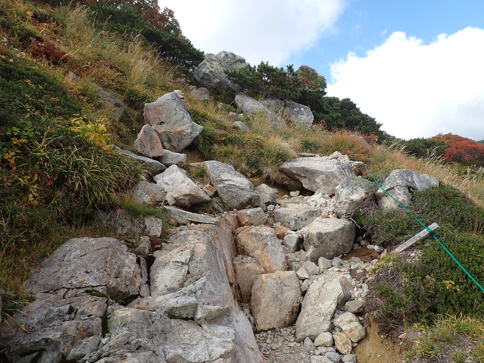 P9204334_mid.jpg