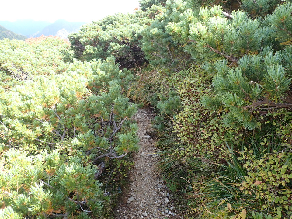 P9204338_mid.jpg
