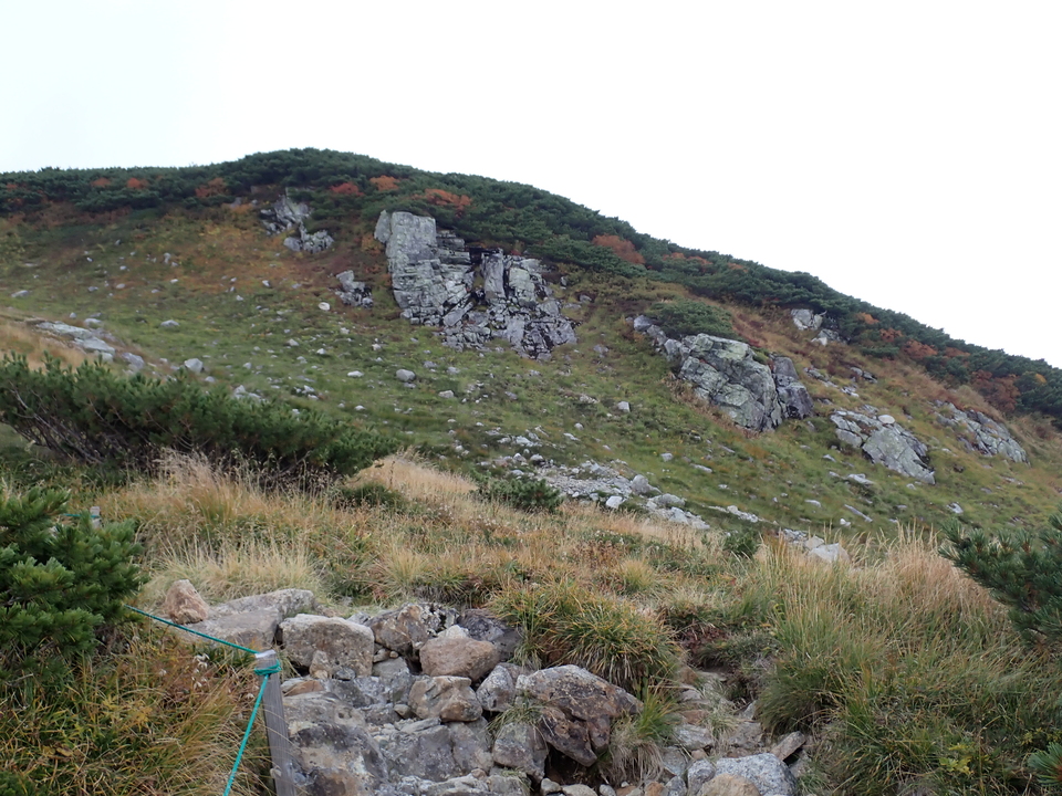 P9204348_mid.jpg