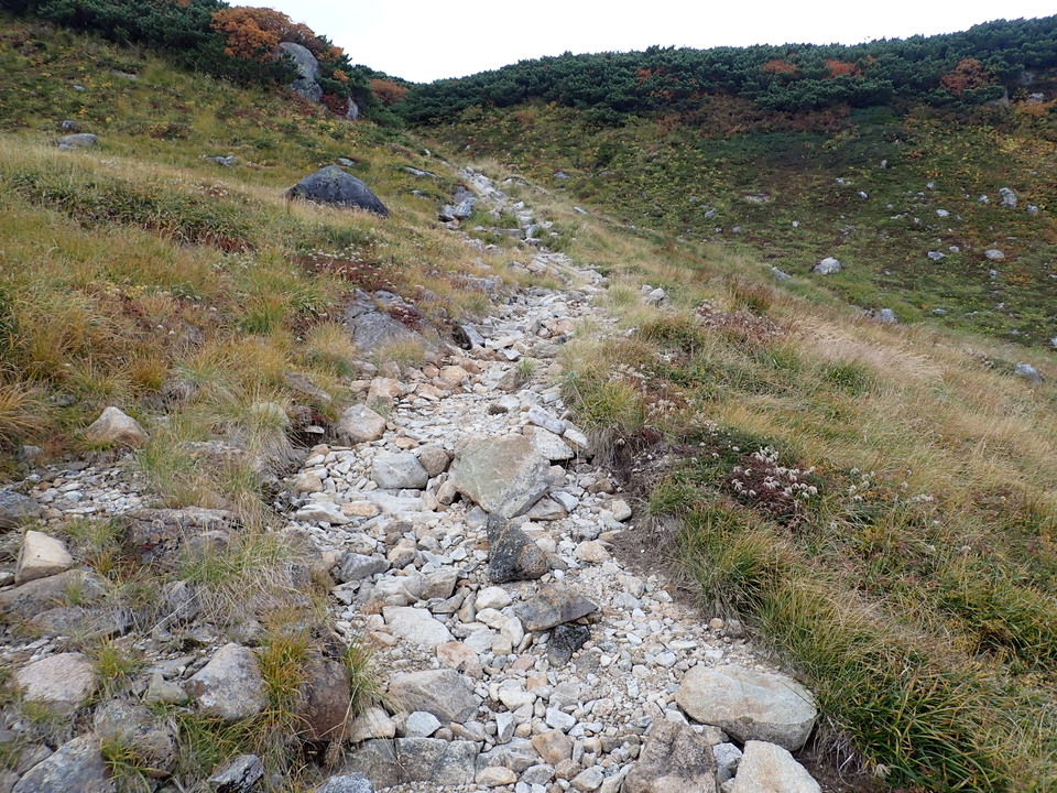 P9204350_mid.jpg