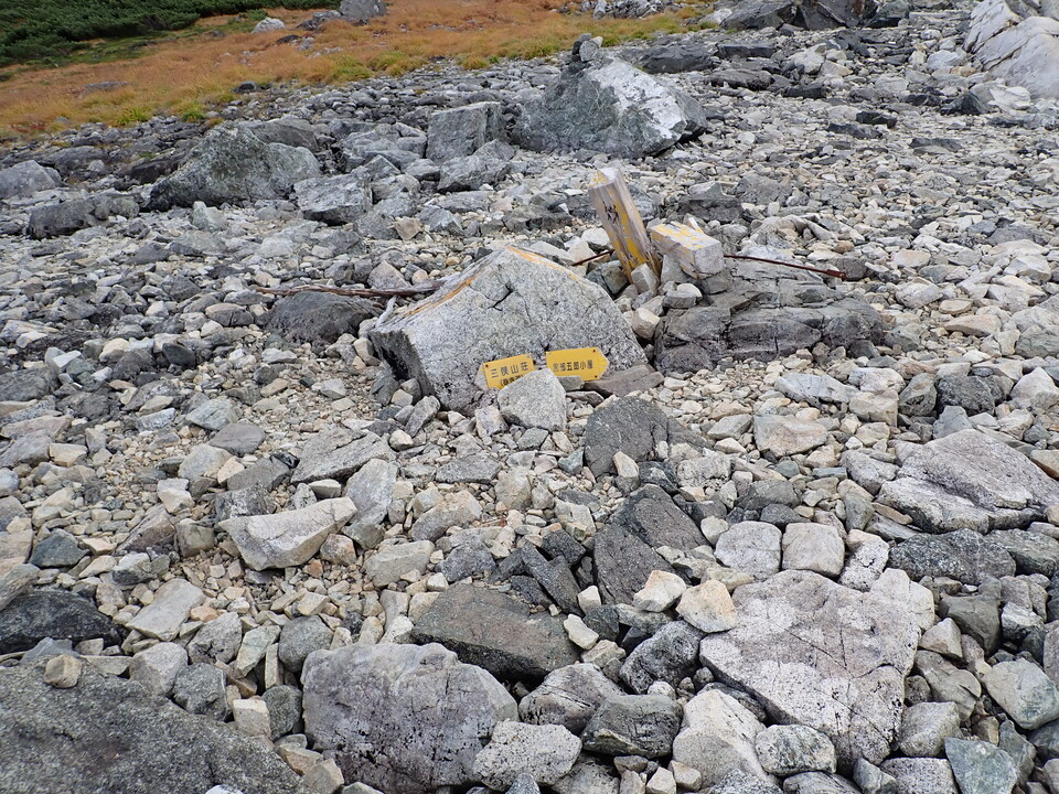 P9204360_mid.jpg