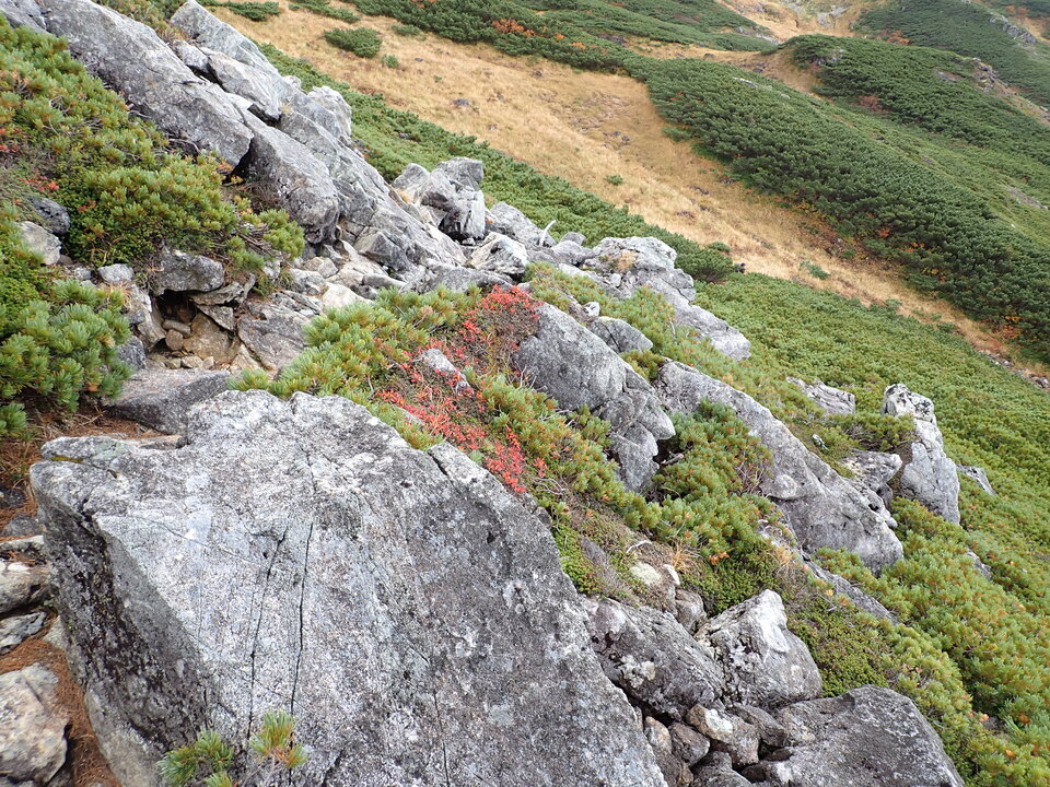 P9204379_mid.jpg