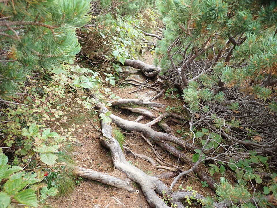 P9204392_mid.jpg