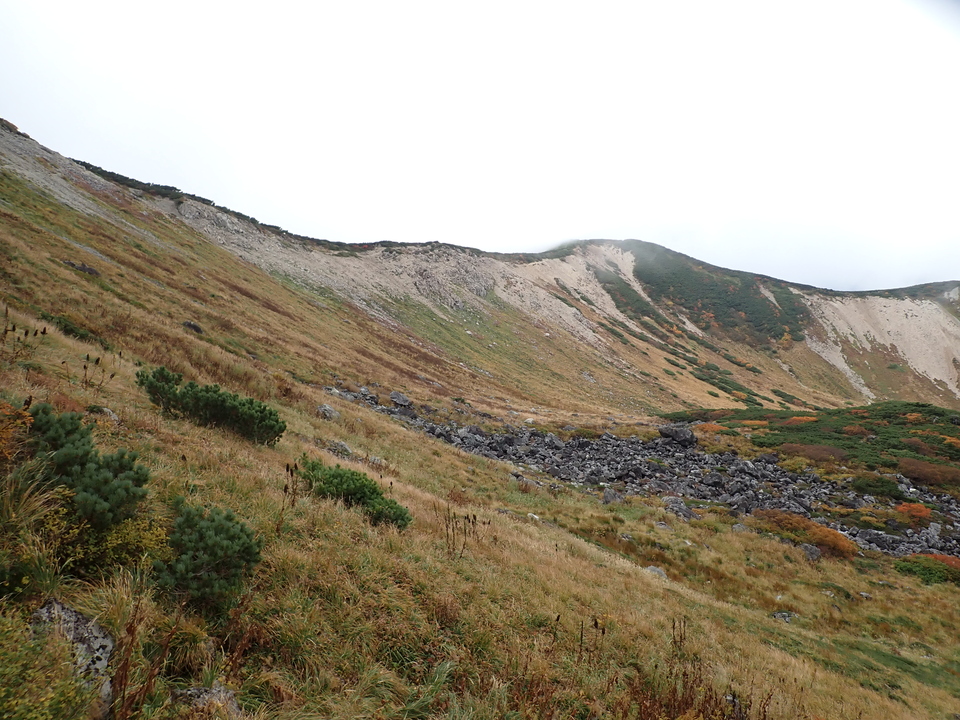 P9204396_mid.jpg