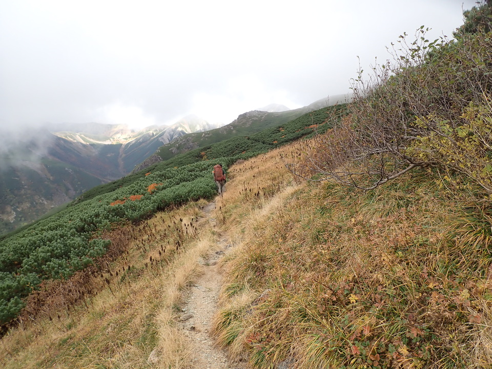 P9204398_mid.jpg