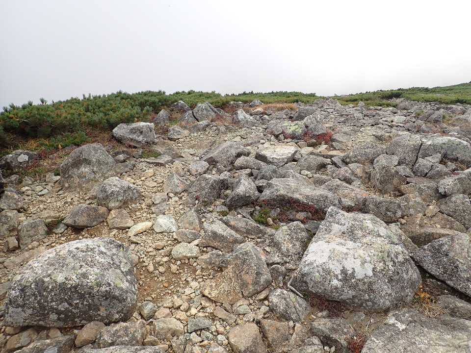 P9204417_mid.jpg