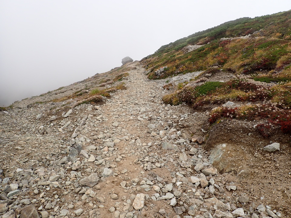 P9204425_mid.jpg