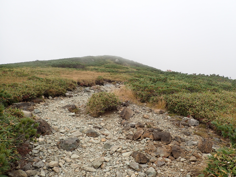 P9204428_mid.jpg