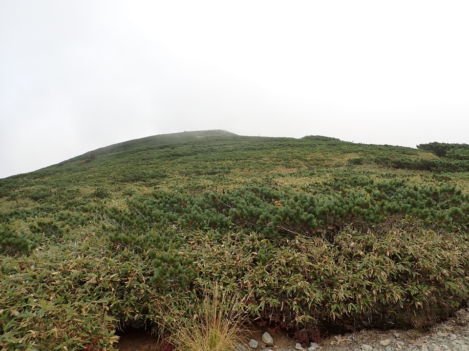 P9204434_mid.jpg