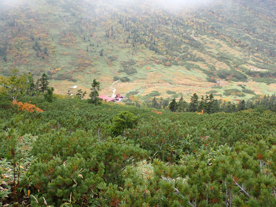 P9204438_mid.jpg