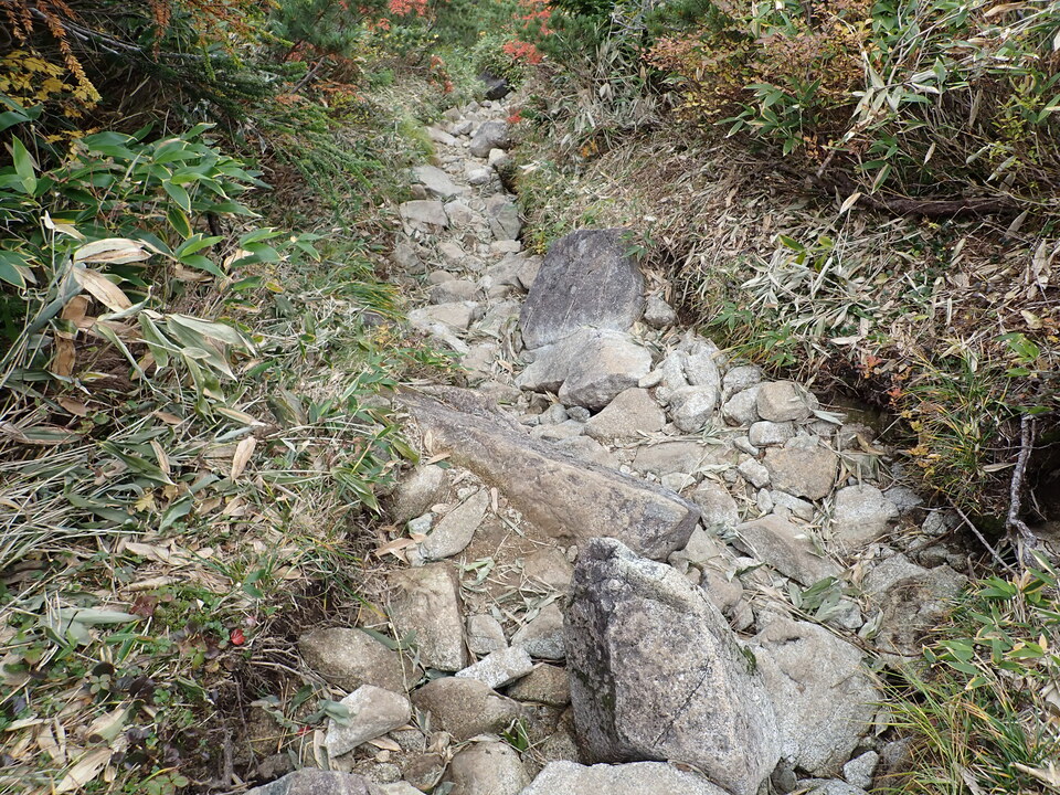 P9204440_mid.jpg