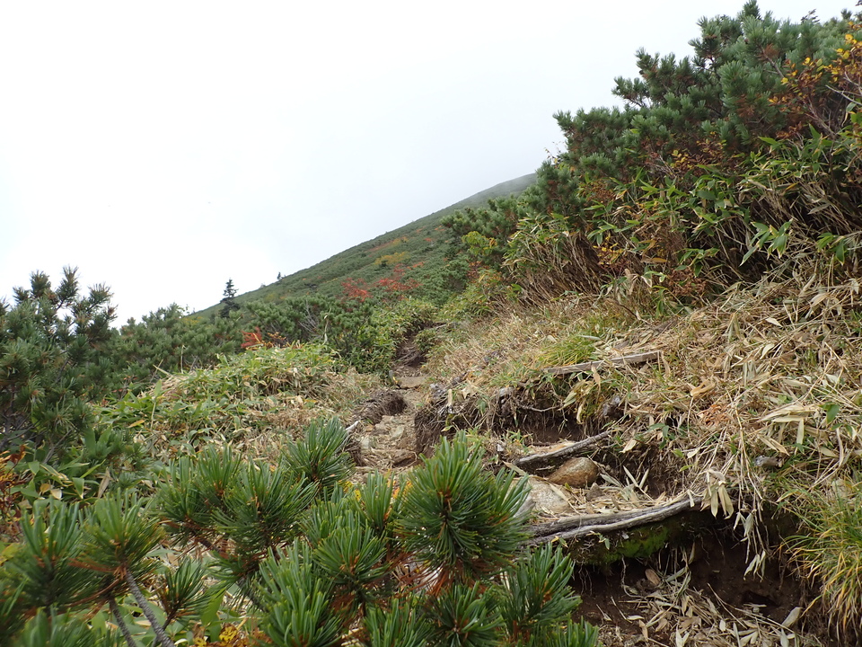 P9204441_mid.jpg