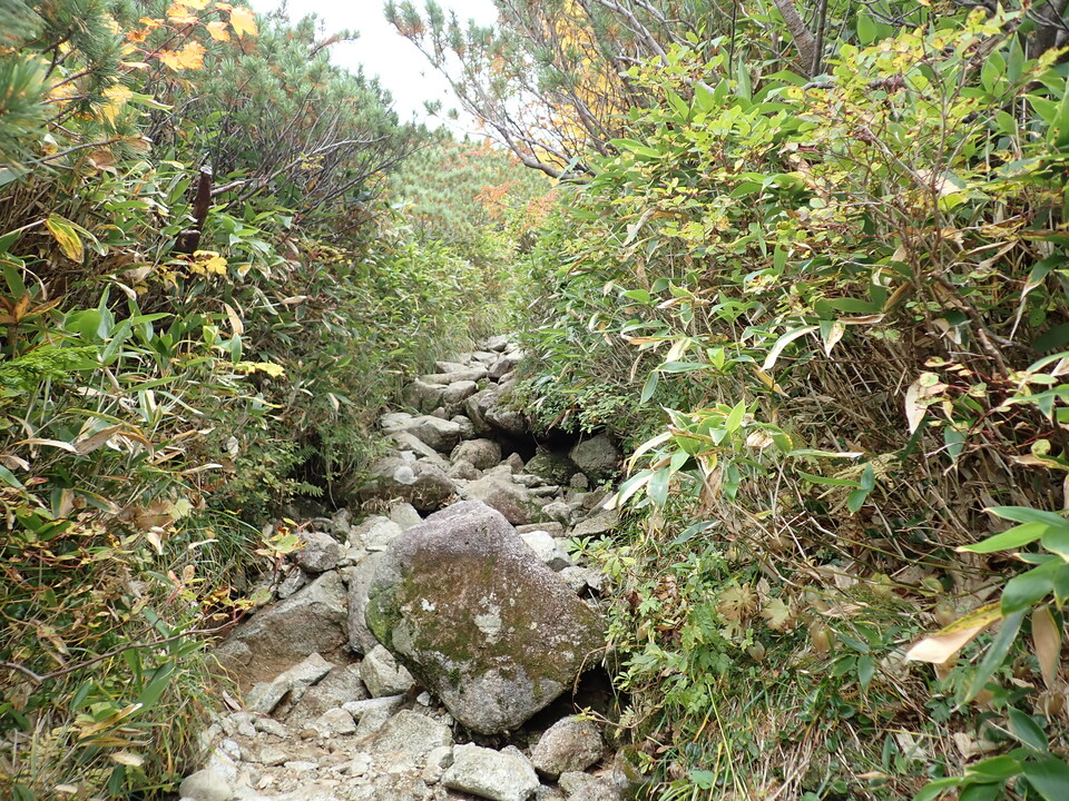 P9204445_mid.jpg