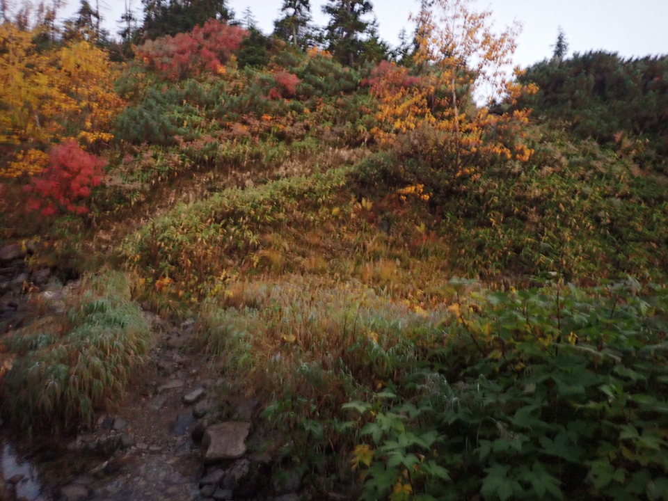 P9214458_mid.jpg