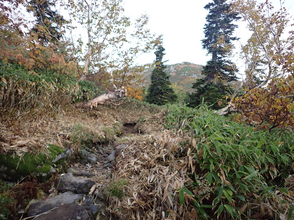 P9214467_mid.jpg