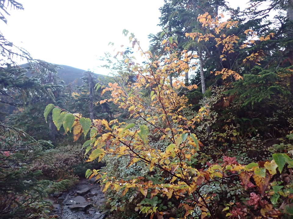 P9214472_mid.jpg