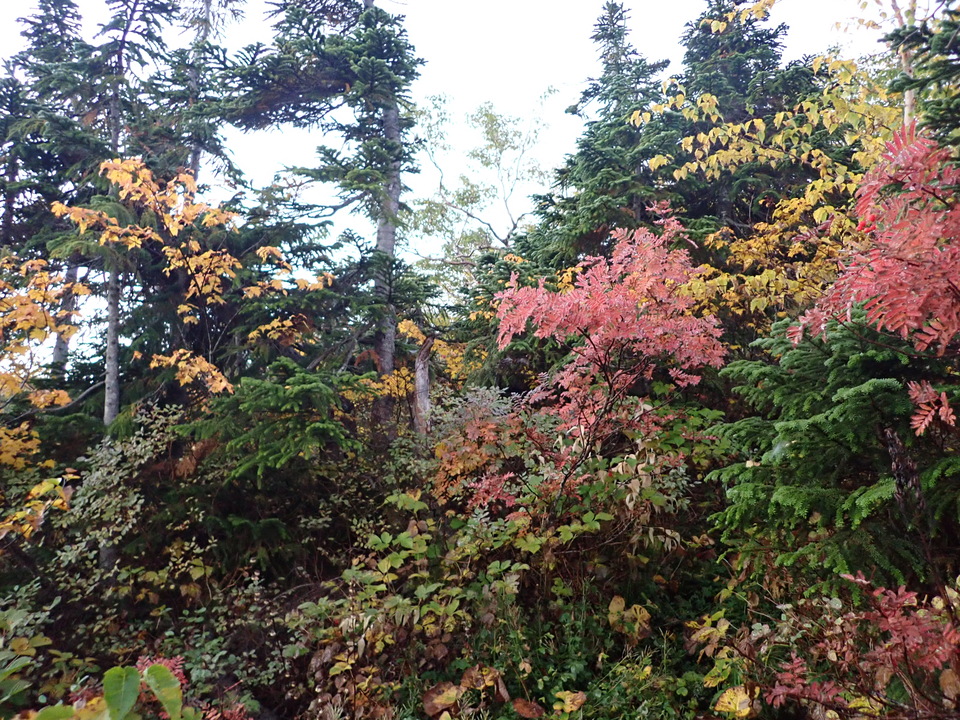 P9214473_mid.jpg