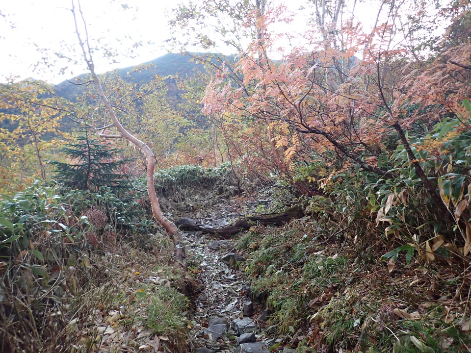 P9214485_mid.jpg
