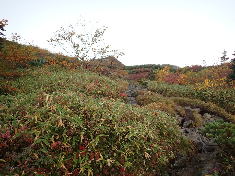 P9214493_mid.jpg